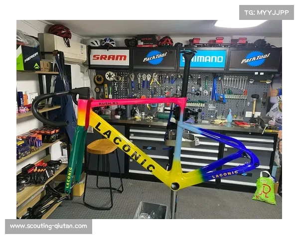 上海凤凰FNIX旗舰店环上海战车定制工坊揭秘碳纤维车架72小时诞生过程 上海凤凰FNIX旗舰店环上海战车定制工坊揭秘碳纤维车架72小时诞生过程